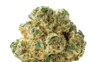 Peace Naturals 31/1 SC